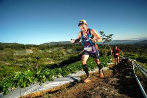 BIB: 9023
                            <button type="button" onclick="openModal(19116773)" class="btn btn-primary btn-sm float-right btn-popup" data-toggle="modal" data-target=".modal-high-quality">
                        <i class="fas fa-shopping-cart"></i> Add to Cart
                    </button>
                                            <button type="button" onclick="isThisMe(19116773, true)" class="btn btn-success btn-sm float-right btn-popup btn-isme hidden" data-toggle="tooltip" data-placement="bottom" title="นี่คือรูปของคุณใช่ไหม คลิกที่นี่เพื่อเอาเข้าอัลบั้ม">
                        <i class="fas fa-plus"></i> Add to album
                    </button>
                    <button type="button" onclick="isThisMe(19116773, false)" class="btn btn-warning btn-sm float-right btn-popup btn-isnotme hidden">
                        <i class="fas fa-ban"></i> Remove from album
                    </button>